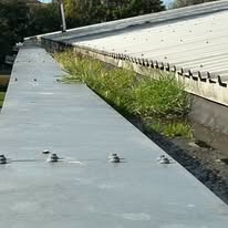 imgi_28_555604545_1381903913940894_7520473480148685990_n